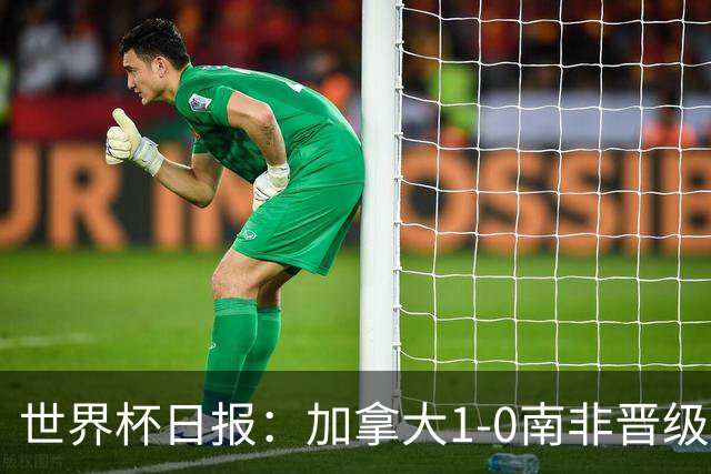 世界杯日报：加拿大1-0南非晋级创历史 韩国主帅洪明甫下课