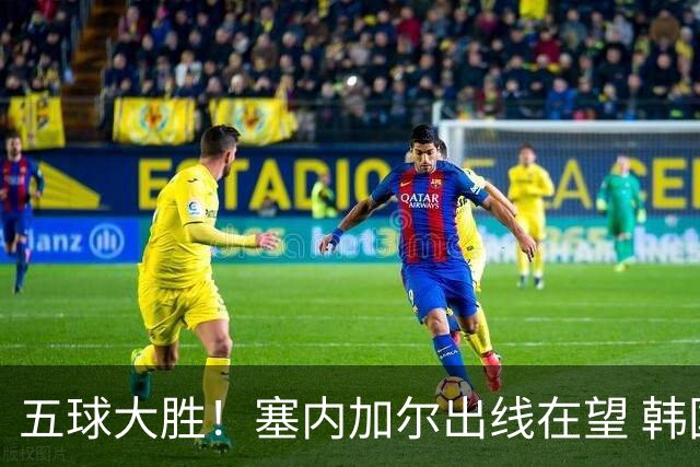 五球大胜！塞内加尔出线在望 韩国晋级仅剩理论希望